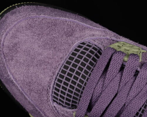 Jordan 4 Canyon Purple - 6