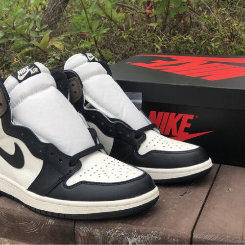 Jordan 1 Retro High Dark Mocha - 4