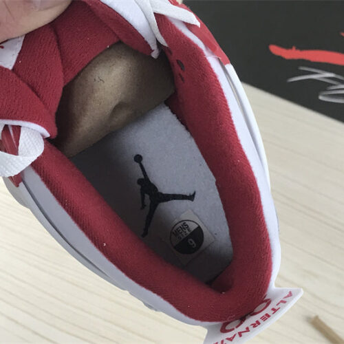 Jordan 4 Retro Alternate 89 - 2